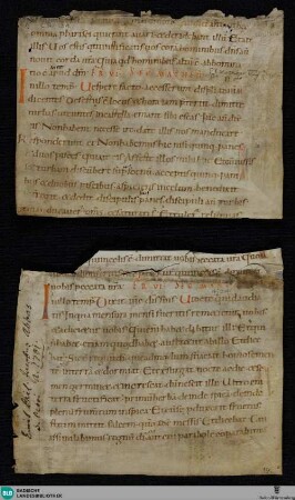 Lektionar, Fragment - Cod. St. Peter perg. 131