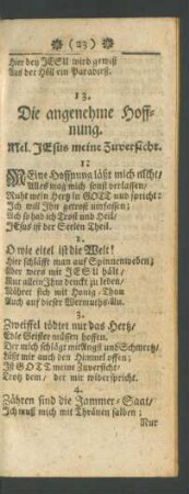 13. Die angenehme Hoffnung