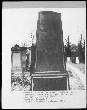 Grabstein von Antonie Kapp, geborene Hertz (+ 1908.01.03)