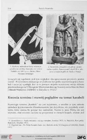 Kwestia terminu i rozwój poglądów na temat karabeli