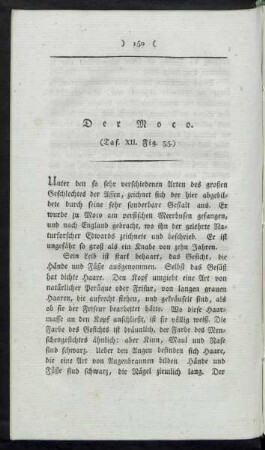 Taf. XII. Fig. 35. Der Moco Fig. 36. Der Urson Fig. 37. Der Tanrec