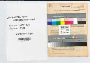 Entnazifizierung Walter Schleisiek , geb. 20.02.1900 (Kaufmann)