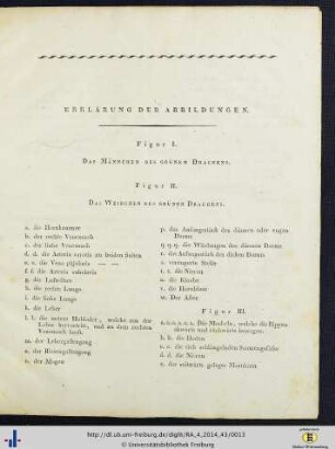 Erklärung der Abbildungen.