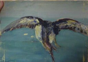 unbenannt [Vogel]