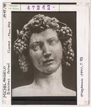Michelangelo: Bacchus und Faun, Detail Kopf. Florenz, Museo Nazionale