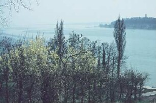 Insel Mainau. Blick auf Konstanz mit Otto Moericke Turm