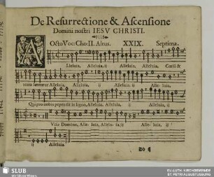 XXIX. Alleluia in resurrectione tua