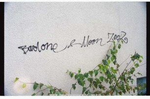 Badone & Moon 2002