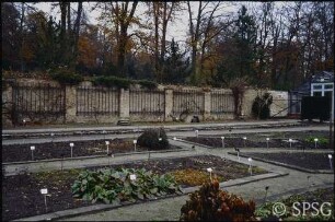 Potsdam, Park Sanssouci, Botanik