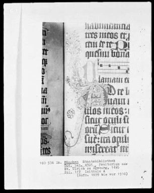 Psalterium aus Sankt Ulrich in Augsburg — Initiale A, Folio 117 recto