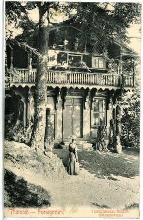 Tharandt. Forstgarten, Forstbotanisches Museum