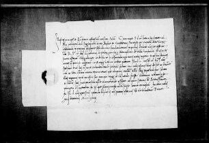Papst Sixtus IV. ermahnt die zu einer Tagung in Zürich versammelten Eidgenossen, zur Wiederherstellung des Friedens in Konstanz mitzuhelfen.