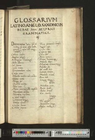 Glossarium latino anglo saxonicum bedae sive aelfrici grammatici.