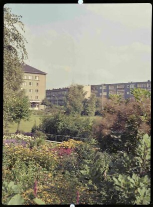 Blick in den Park des Seniorenheims der Vivantes Hauptstadtpflege Jungfernheide