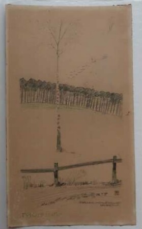 [Landschaft mit Birke]