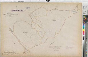 Langenholthausen (Balve), Blintrop (Neuenrade), Umlegung Langenholthausen-Blintrup, Bl.13 Urkarte II Blintrop Flur 5