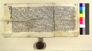 Heinrich Abtsperger zu Ronburg, Landrichter der Grafschaft Hirschberg vidimiert für Heinrich Swepperman einen Lehenbrief König Sigismunds d.d. 1427 April 8, ferner 3 Briefe des Landgerichtes Hirschberg d.d. 1436. Mai 2, 1436, Juni 18 und 1436. Juli 23, die Originale wurden dem Ulrich Pewrl ausgehändigt.