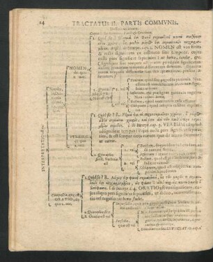 Tractatus II. Partis Communis.