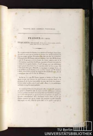 Fraisier du chili. Fragaria chiloensis, floribus dioicis: fructu maximo, subovato erecto, dilute incarnato, foliis sericeis.
