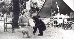 Jane's Journey - Die Lebensreise der Jane Goodall