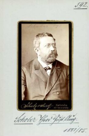Schober, Theodor Gustav August, Demokraten