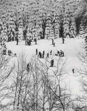 Buntes Treiben im Schnee, leichte Abfahrt