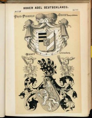 Taf. 282. Fürst v. Podiebrad u. Cunstatt König in Böhmen. - Böhmen n. Grüneberg.