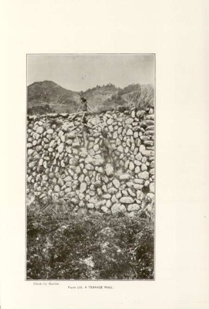 Plate LIII. A terrace wall