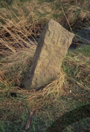 Heide (Kreis Dithmarschen): Ostroher Moor: Grenzstein: Seitenansicht