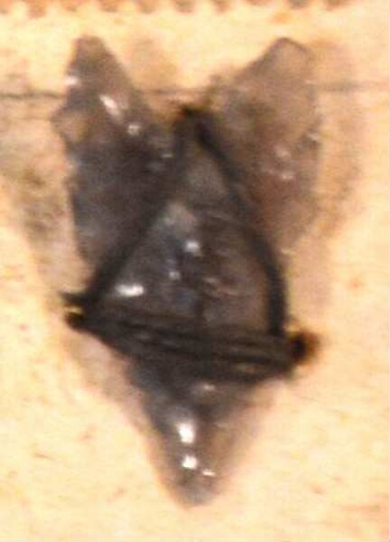 Stone arrowhead