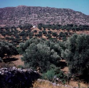 Naxos. Das ölbaumbestandene Hochtal um Moní, auf der Westseite des Mavrovuni-Berges. K1