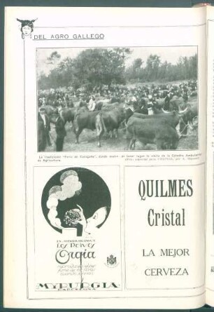 Del agro gallego : [Vista de] La tradicional "Feria de Taragoña", donde acaba de tener lugar la visita de la Cátedra Ambulante de Agricultura.