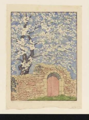 Kirschblüte