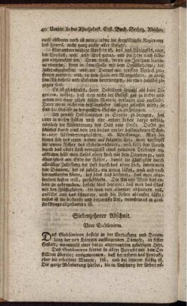 Siebenzehnter Abschnit - Ein und zwanzigster Abschnit