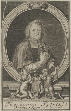 Bildnis des Theodorus Potocki