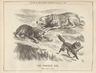 The foreign fox