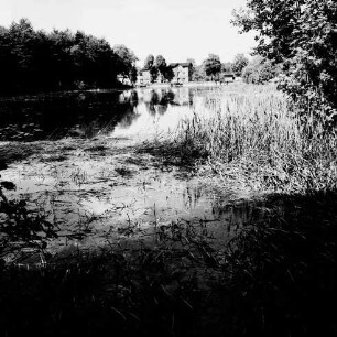 Lasbek-Gut: Lasbeker Mühle und Mühlenteich: vorn Schilf und Sträucher: im Hintergrund Bäume