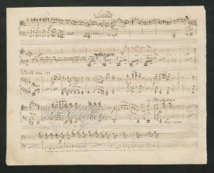 Allegro assai vivace