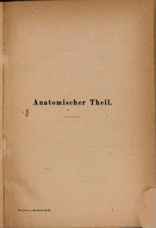Eierstock und Ei : ein Beitrag zur Anatomie und Entwicklungsgeschichte der Sexualorgane