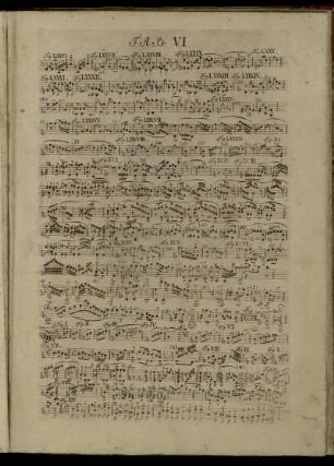 Tab. VI.