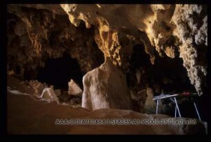 Djara 90/1 Bildfeld A in der Höhle