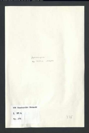Gogerichtsregister Vogtei Schötmar (Bruchstücke)