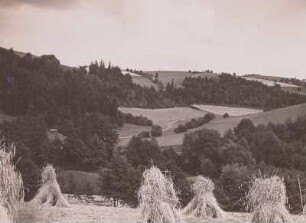 Osterzgebirge. Mordgrund bei Oelsen-Bienhof. Blick vom linken Hang mit Roggenpuppen über den Mühlteich nach Südost zu Kamm