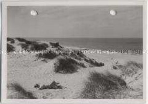 Insel Sylt, Westerland, Dünen
