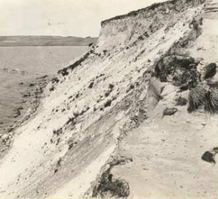 Rügen. Thiessow. Steilküste