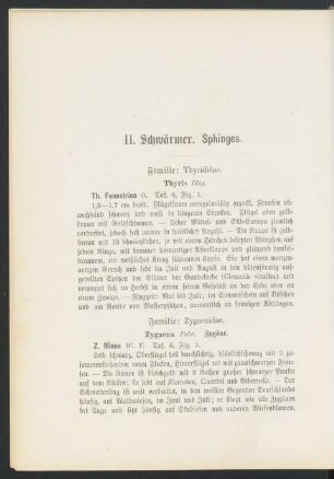 II. Schwärmer. Sphinges.