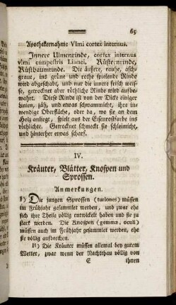 IV. Kräuter, Blätter, Knospen und Sprossen.