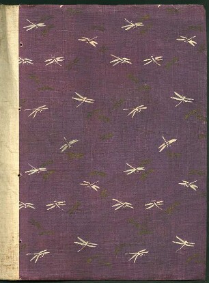 Album Sächsische Schweiz Ostern 1910 : Album Sächsische Schweiz Ostern 1910. Kartoneinband mit Kordelbindung; 35 x 25 x 1,5 cm (ab 1910). Dresden: SLUB/DF 2017.D.97