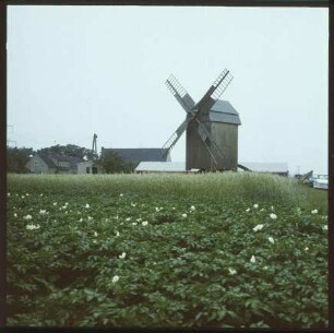 Bockwindmühle Lebien