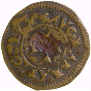 Münze, Denar (MA), 1494 - 1495